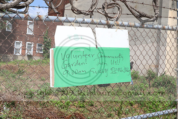 IMG_0186.West Philly Garden Eric July 4 2020 @KTIP Laura Elam
