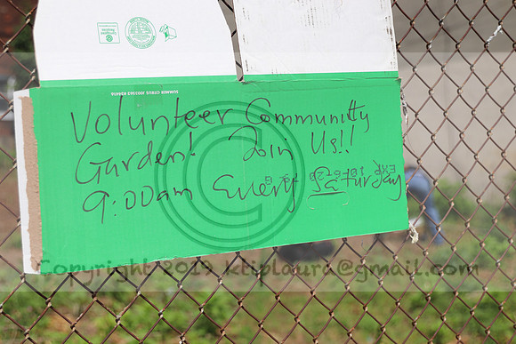 IMG_0187.West Philly Garden Eric July 4 2020 @KTIP Laura Elam