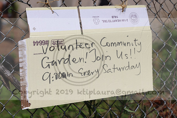 IMG_0193.West Philly Garden Eric July 4 2020 @KTIP Laura Elam