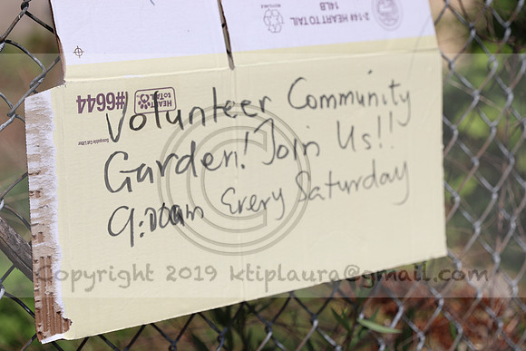 IMG_0196.West Philly Garden Eric July 4 2020 @KTIP Laura Elam