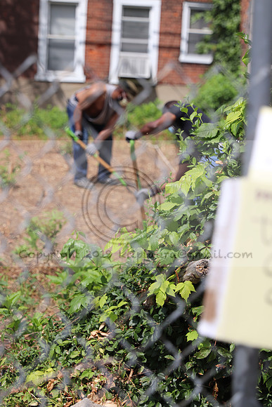 IMG_0200.West Philly Garden Eric July 4 2020 @KTIP Laura Elam