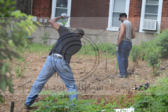 IMG_0211.West Philly Garden Eric July 4 2020 @KTIP Laura Elam