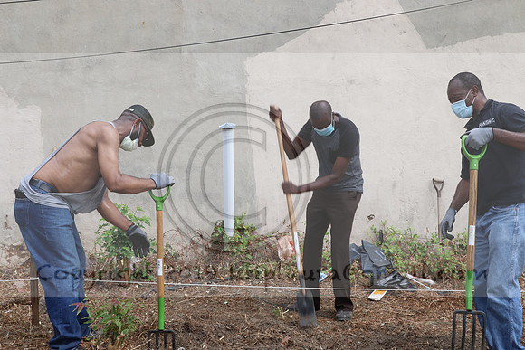 IMG_0248.West Philly Garden Eric July 4 2020 @KTIP Laura Elam