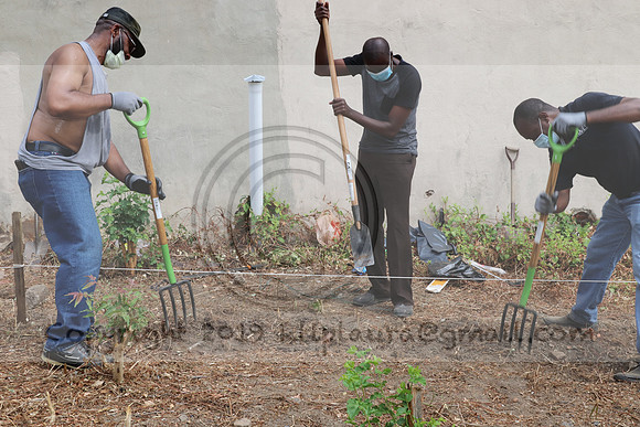 IMG_0250.West Philly Garden Eric July 4 2020 @KTIP Laura Elam