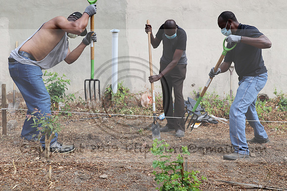 IMG_0253.West Philly Garden Eric July 4 2020 @KTIP Laura Elam