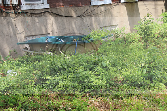 IMG_0348.West Philly Garden Eric July 4 2020 @KTIP Laura Elam