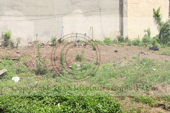 IMG_0367.West Philly Garden Eric July 4 2020 @KTIP Laura Elam