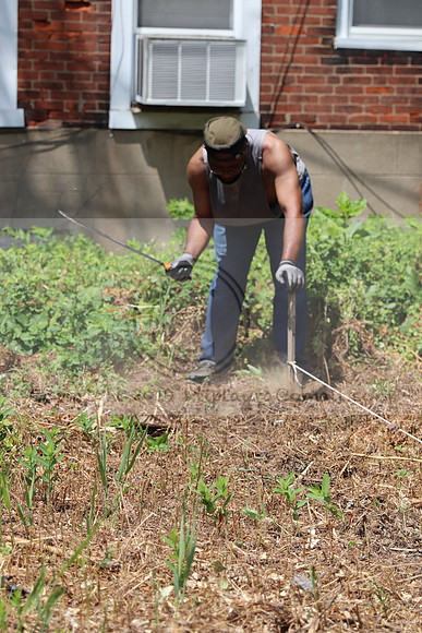 IMG_0410.West Philly Garden Eric July 4 2020 @KTIP Laura Elam