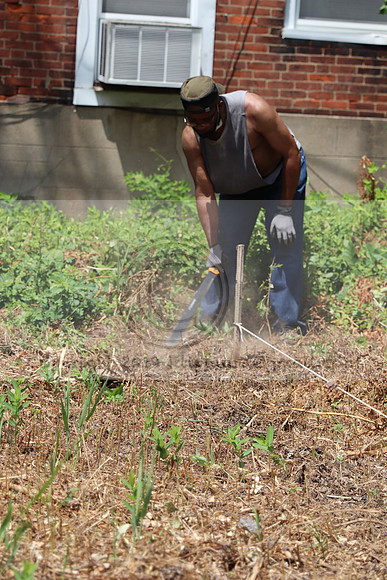 IMG_0412.West Philly Garden Eric July 4 2020 @KTIP Laura Elam