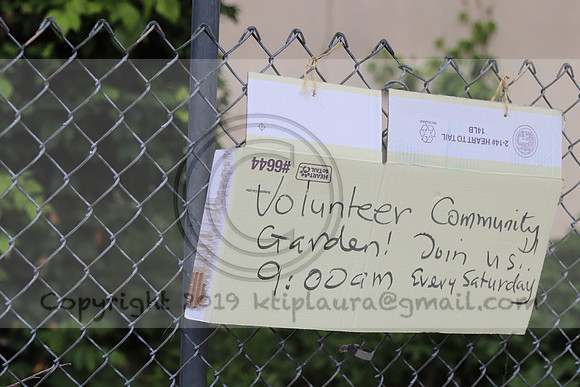 IMG_0206.West Philly Garden Eric July 4 2020 @KTIP Laura Elam