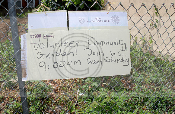 0 IMG_0215.1226 COMMUNITY GARDEN July 11 2020 @KTIP Laura Elam