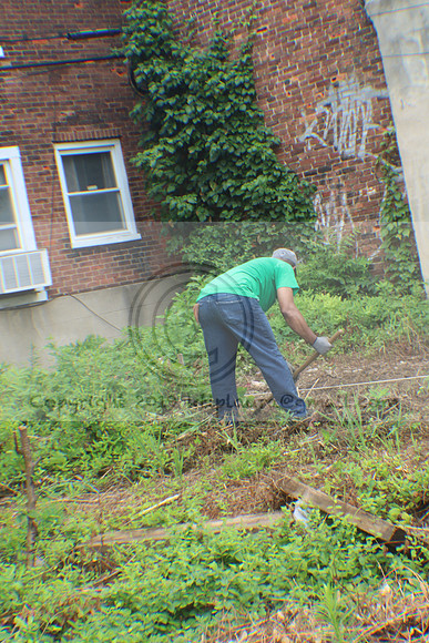IMG_0010.1226 COMMUNITY GARDEN July 11 2020 @KTIP Laura Elam