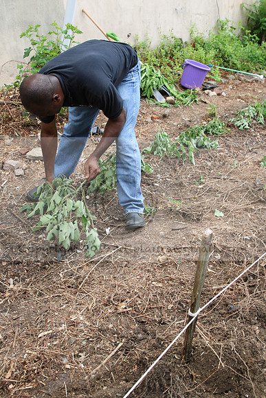 IMG_0043.1226 COMMUNITY GARDEN July 11 2020 @KTIP Laura Elam