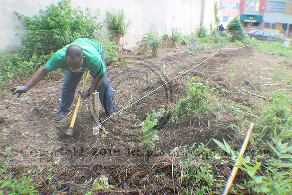 IMG_0048.1226 COMMUNITY GARDEN July 11 2020 @KTIP Laura Elam