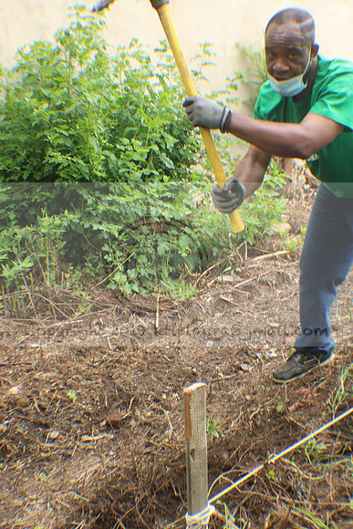 IMG_0052.1226 COMMUNITY GARDEN July 11 2020 @KTIP Laura Elam