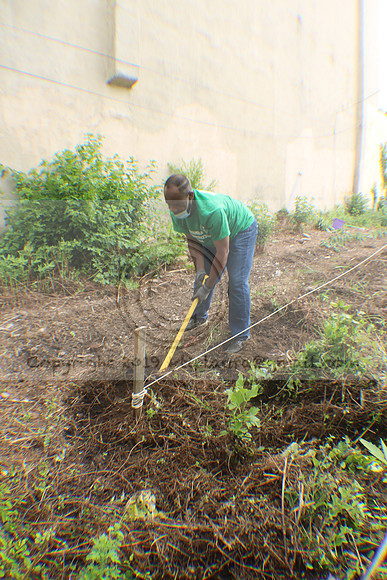 IMG_0055.1226 COMMUNITY GARDEN July 11 2020 @KTIP Laura Elam