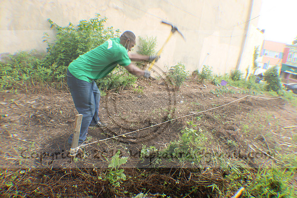 IMG_0064.1226 COMMUNITY GARDEN July 11 2020 @KTIP Laura Elam