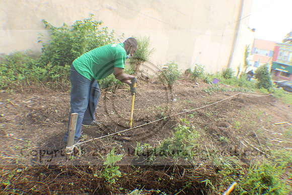 IMG_0066.1226 COMMUNITY GARDEN July 11 2020 @KTIP Laura Elam
