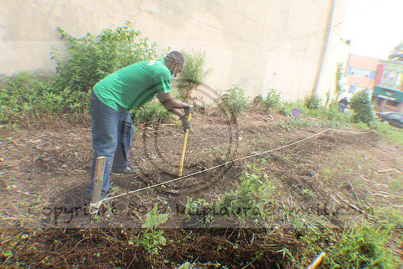 IMG_0067.1226 COMMUNITY GARDEN July 11 2020 @KTIP Laura Elam