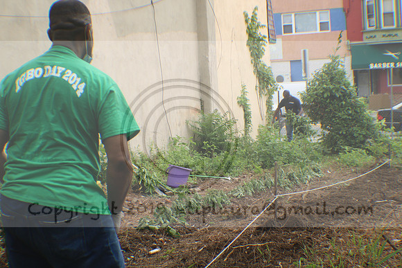 IMG_0086.1226 COMMUNITY GARDEN July 11 2020 @KTIP Laura Elam