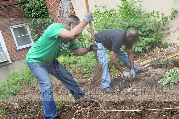IMG_0129.1226 COMMUNITY GARDEN July 11 2020 @KTIP Laura Elam