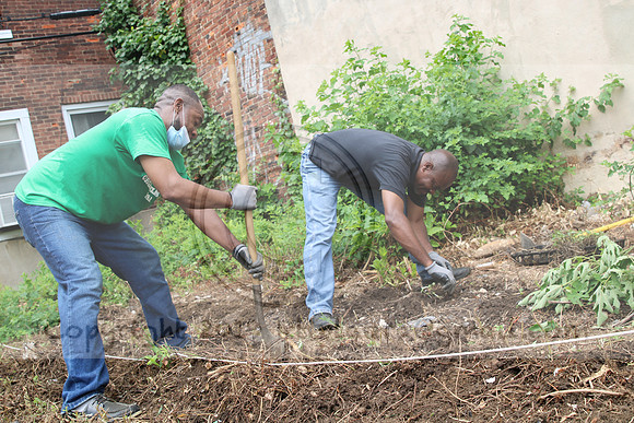 IMG_0134.1226 COMMUNITY GARDEN July 11 2020 @KTIP Laura Elam