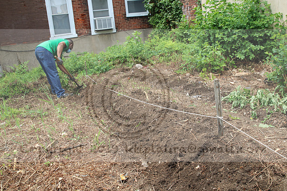 IMG_0160.1226 COMMUNITY GARDEN July 11 2020 @KTIP Laura Elam