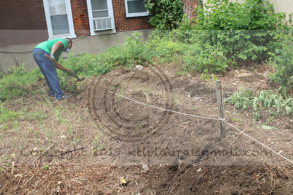 IMG_0159.1226 COMMUNITY GARDEN July 11 2020 @KTIP Laura Elam