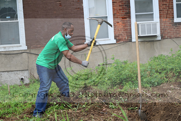 IMG_0167.1226 COMMUNITY GARDEN July 11 2020 @KTIP Laura Elam