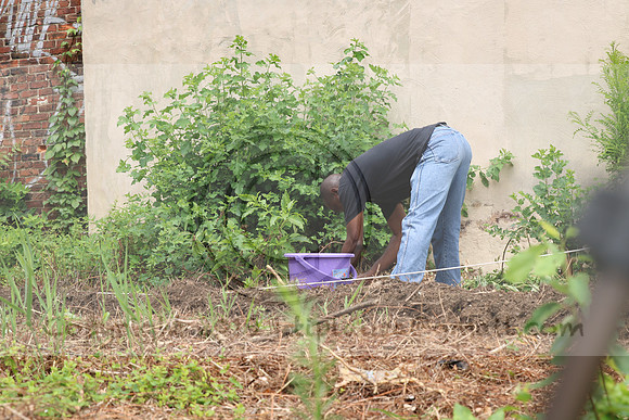 IMG_0175.1226 COMMUNITY GARDEN July 11 2020 @KTIP Laura Elam