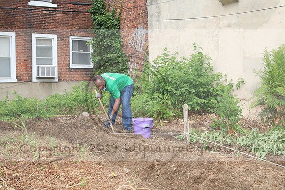 IMG_0184.1226 COMMUNITY GARDEN July 11 2020 @KTIP Laura Elam