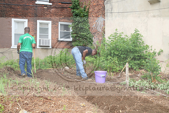 IMG_0189.1226 COMMUNITY GARDEN July 11 2020 @KTIP Laura Elam