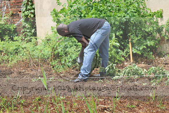 IMG_0193.1226 COMMUNITY GARDEN July 11 2020 @KTIP Laura Elam