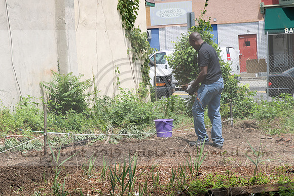 IMG_0212.1226 COMMUNITY GARDEN July 11 2020 @KTIP Laura Elam