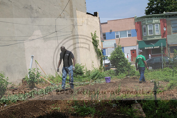 IMG_0213.1226 COMMUNITY GARDEN July 11 2020 @KTIP Laura Elam