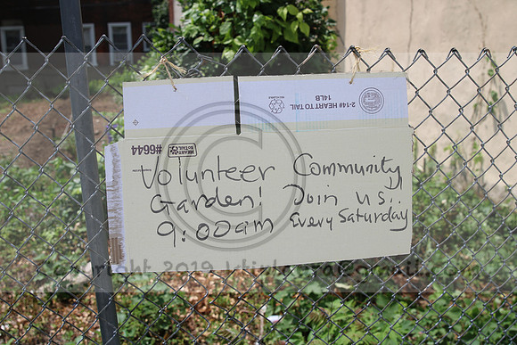 IMG_0214.1226 COMMUNITY GARDEN July 11 2020 @KTIP Laura Elam