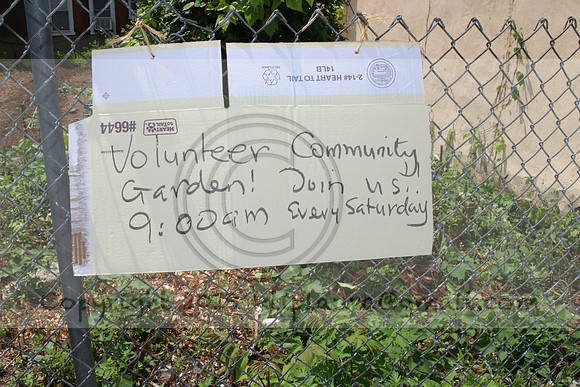 IMG_0215.1226 COMMUNITY GARDEN July 11 2020 @KTIP Laura Elam