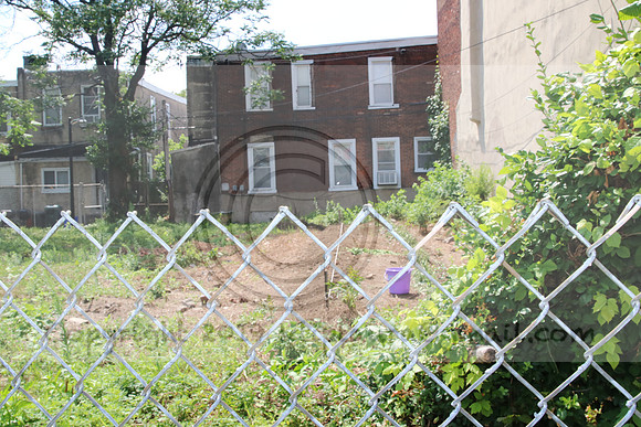 IMG_0216.1226 COMMUNITY GARDEN July 11 2020 @KTIP Laura Elam