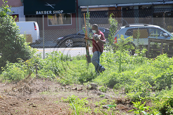 IMG_0009.1226 COMMUNITY GARDEN July 18 2020 @KTIP Laura Elam
