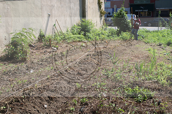 IMG_0010.1226 COMMUNITY GARDEN July 18 2020 @KTIP Laura Elam