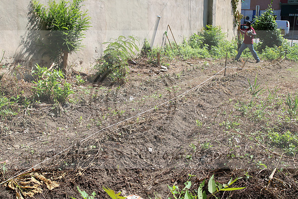 IMG_0011.1226 COMMUNITY GARDEN July 18 2020 @KTIP Laura Elam