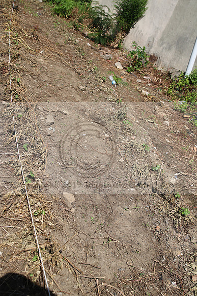 IMG_0027.1226 COMMUNITY GARDEN July 18 2020 @KTIP Laura Elam