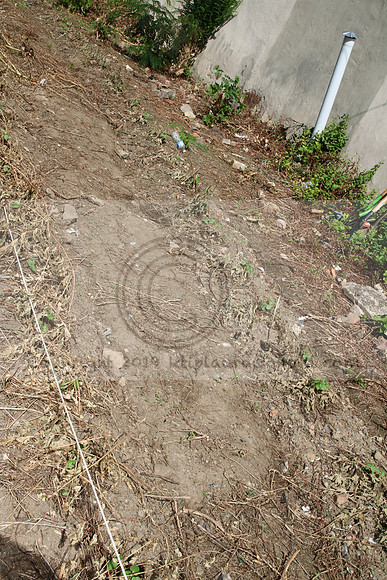 IMG_0028.1226 COMMUNITY GARDEN July 18 2020 @KTIP Laura Elam