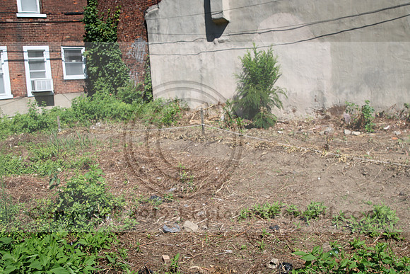 IMG_0040.1226 COMMUNITY GARDEN July 18 2020 @KTIP Laura Elam
