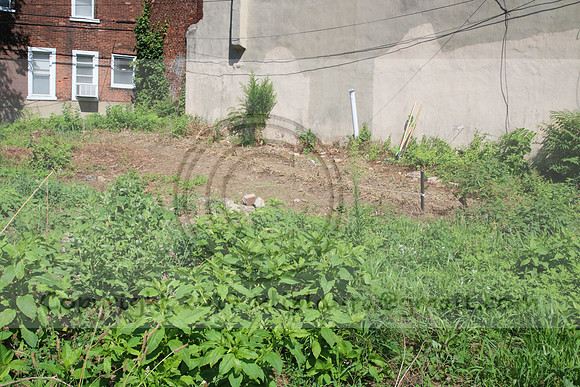 IMG_0041.1226 COMMUNITY GARDEN July 18 2020 @KTIP Laura Elam