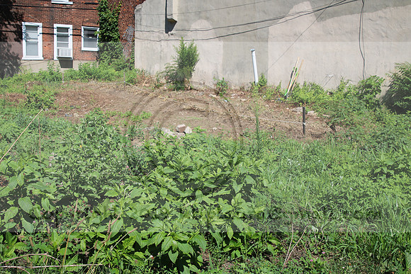 IMG_0042.1226 COMMUNITY GARDEN July 18 2020 @KTIP Laura Elam
