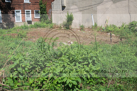 IMG_0043.1226 COMMUNITY GARDEN July 18 2020 @KTIP Laura Elam