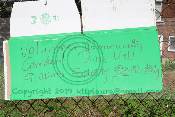 IMG_0045.1226 COMMUNITY GARDEN July 18 2020 @KTIP Laura Elam