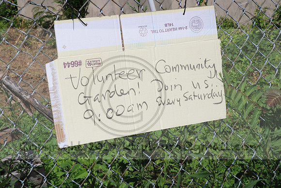 IMG_0046.1226 COMMUNITY GARDEN July 18 2020 @KTIP Laura Elam