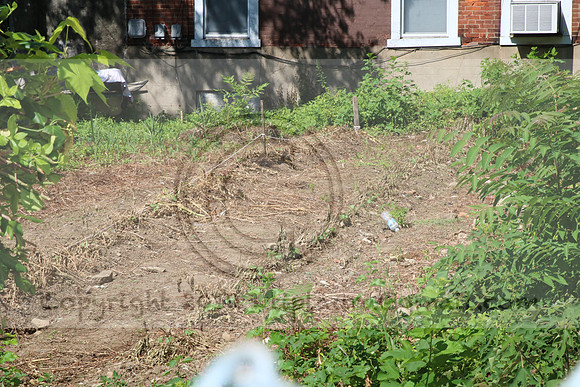 IMG_0054.1226 COMMUNITY GARDEN July 18 2020 @KTIP Laura Elam